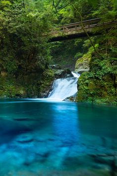 a river with blue water and a bridge in the background, surrounded by lush green trees