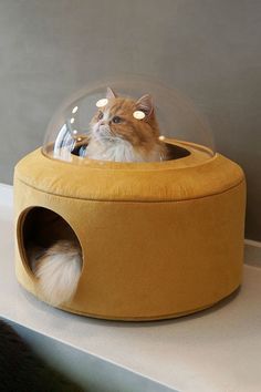 a cat sitting in a round bed with a glass dome on it's head