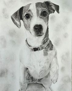 a pencil drawing of a dog sitting down