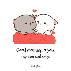 two cats sitting on top of each other with the caption saying good morning to you, my one and only