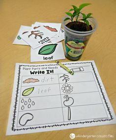 plant parts and needs worksheet for beginning with letter i - printables