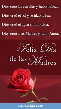 a red rose with the words in spanish