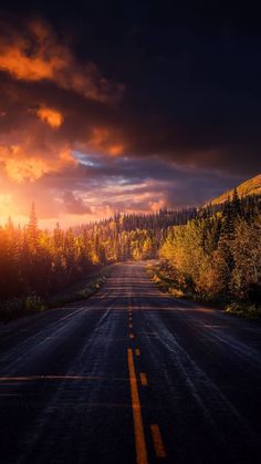 an empty road with trees on both sides and the sun setting in the distance behind it