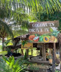 a sign that says coconut's drive in on top of a wooden stand surrounded by palm trees