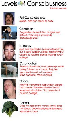 broccoli and other foods are shown in this poster, which shows the stages of consciousness