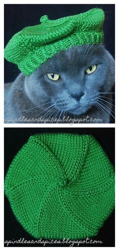 two pictures of a cat wearing a green hat