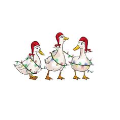 three white ducks with red hats and christmas lights on their heads are standing in a row