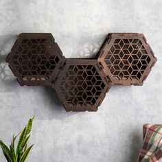 three wooden honeycombs are hanging on the wall next to a potted plant