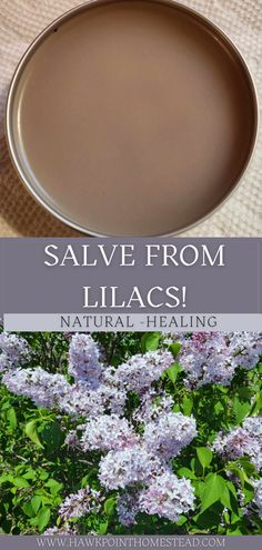 lilacs with the words salve from lilacs natural heating in front of them