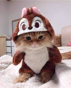 a cat wearing a costume on top of a bed