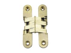 an image of a pair of brass plated hinges on a white background