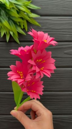 a person is holding some pink flowers in their hand