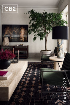 a living room filled with furniture and a potted plant on top of a table