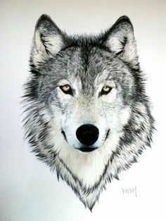 a drawing of a wolf's head with yellow eyes