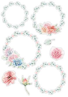 some flowers and leaves are arranged in the shape of circle frames on a white background