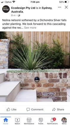 an instagramted post on the side of a stone wall with a cactus in it