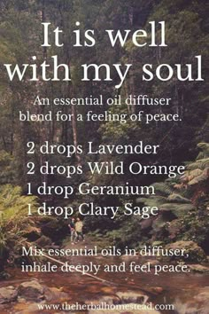 Essential Oil Diffuser Recipes, Oil Diffuser Recipes, Yl Essential Oils, Essential Oil Mixes