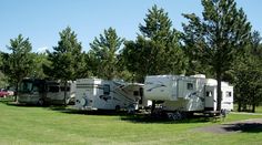 several rv parks are lined up next to each other in the grass near trees and picnic tables