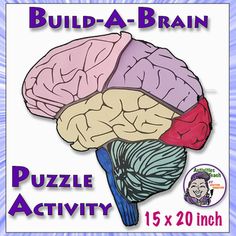 the puzzle activity is designed to help children learn how to read and understand their brain