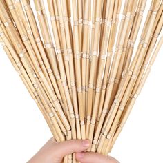 a hand holding up a bundle of bamboo sticks