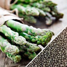 Seeds that grow best in ZONE 5: | SeedsNow.com 4 Month Baby Food, Seed Planting Guide, Asparagus Seeds, Pickled Asparagus, Asparagus Plant, Home Grown Vegetables, Heirloom Vegetables, Power Foods, Roasted Asparagus