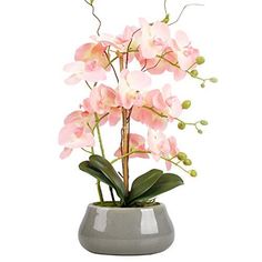 pink flowers are in a gray vase on a white background