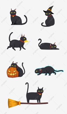 black cats with halloween hats and pumpkins on their heads, all in different positions