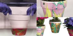 four images show different types of flower pots with flowers in them, and one has purple gloves on it