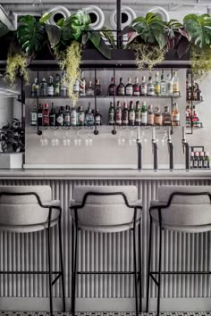 the bar is decorated with plants and bottles