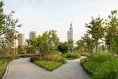 a park with lots of trees and plants in the middle, surrounded by tall buildings