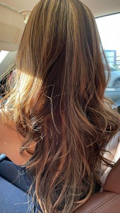 Natural Highlights In Brown Hair, Brunette Hair Golden Highlights, Honey Toned Highlights, Olive Undertone Hair Color, Wavy Hair Dye Ideas Highlights, Surfer Brown Hair, Sun Bleached Brown Hair, Solid Color Hair Ideas Brown, Sun Bleached Hair Brown