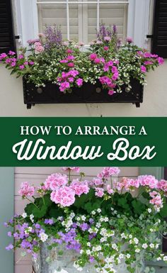 two windows with flowers in them and the words how to arrange window box on top