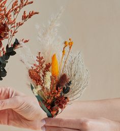 two hands are holding flowers in front of each other on a beige background, while another hand is reaching for the flower