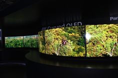 the curved television screen is displaying several different images on it's sides, with trees and bushes in the background