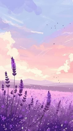 Lavender Meadow, Backgrounds Landscape, Sky Backgrounds, Cloud Sunset, Sunset Scenery, Pastel Sky, Pretty Backgrounds, Home Screen Ideas, Cool Wallpapers Art