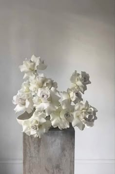 there is a vase with white flowers in it