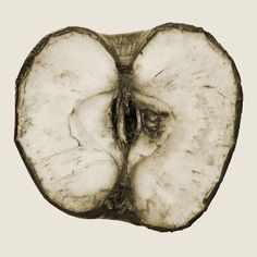 an apple cut in half on a white background