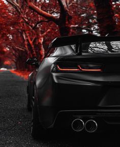 the back end of a black sports car parked in front of trees with red leaves