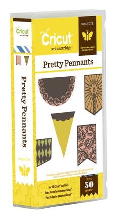 the craft kit for pretty pennants