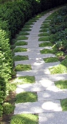 a stone path in the middle of a garden with grass growing all over it and trees lining both sides