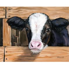 a painting of a black and white cow sticking its head over a wooden fence