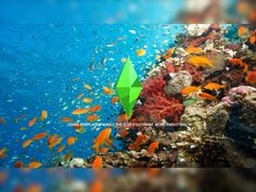 an underwater scene with fish and corals in the water, including a green origami boat