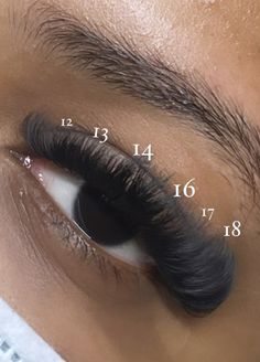 Mega Hybrid Lash Extensions, Eyebrow Black Women, Hybrid Lashes Black Women, Volume Lash Set Mapping, Volume Cat Eye Lash Extensions D Curl, 2 Pretty 4 Lame, Cat Eye Lash Extensions Black Women, Lashes Extensions Mapping, Big Lash Extensions