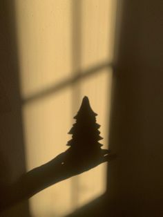 the shadow of a hand holding a small christmas tree