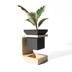 a potted plant sitting on top of a wooden shelf