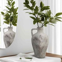 two vases with plants in them sitting on a table next to each other,