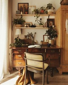 a desk with a chair, bookshelf and potted plants on top of it