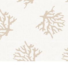 a white and beige wallpaper with corals on it