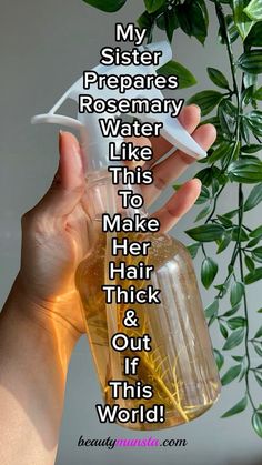 Nobody ever told me how to make rosemary water for hair growth THE RIGHT WAY Diy Hair Growth Spray, Rosemary Hair Growth, Rosemary Hair, Rosemary Water, Rosemary Oil For Hair, Hair Growth Spray, Hair Growing Tips, Hair Remedies For Growth