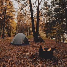 there is a tent in the woods next to a campfire and some leaves on the ground